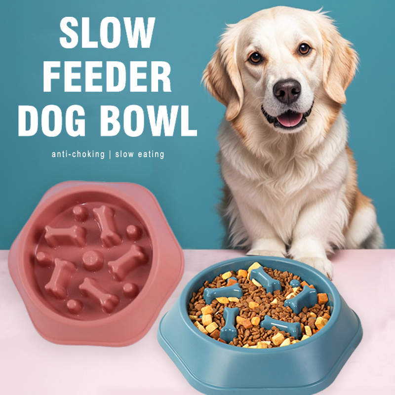 Slow Feeder Dog Bowl Anti-chok - Royal Canin Food Medium recension och pris