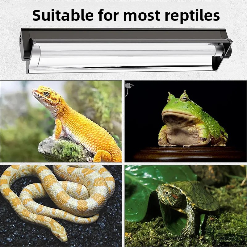 T5 UVB Tube With Integrated Fi - Calcium Powder Reptile recension och pris